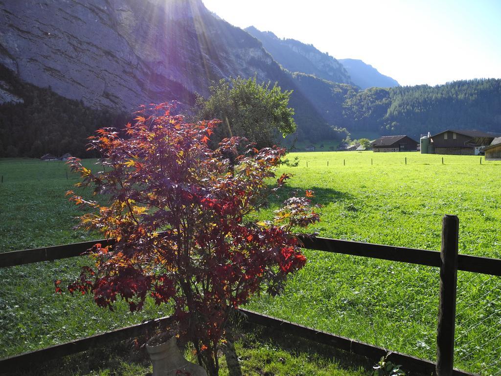 Mountain Lodge Urweider Innertkirchen Exterior foto