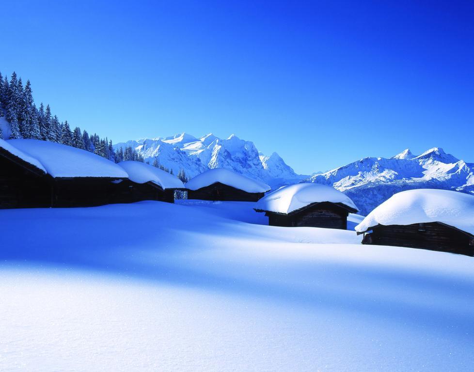 Mountain Lodge Urweider Innertkirchen Exterior foto